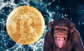 Monkey coin cryptocurrency cryptocurrency ethereum graph